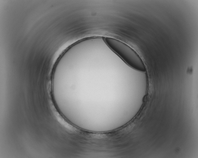 X0000111821136200908131517