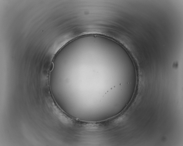 X0000111821137200908131517