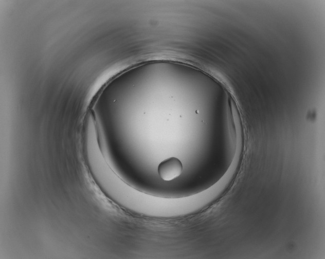 X0000111821138200908131517