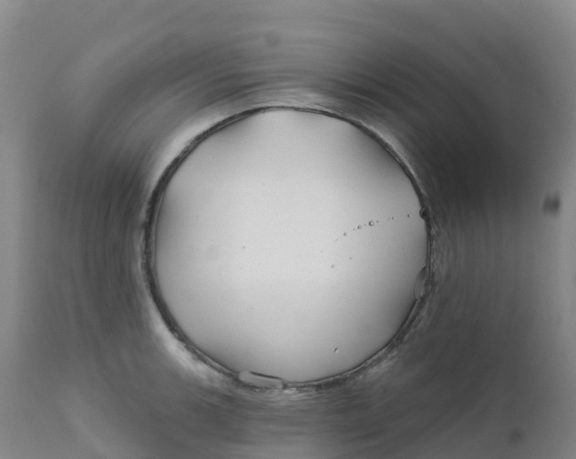 X0000111821139200908131517