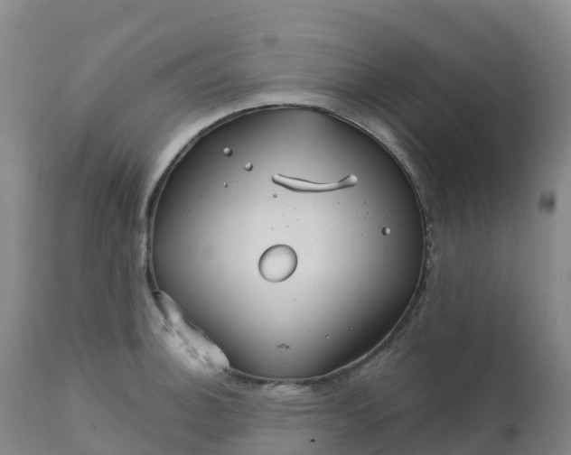 X0000111821140200908131517