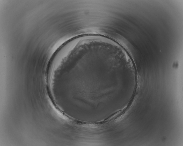 X0000111821141200908131517