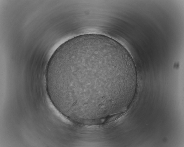 X0000111821142200908131517