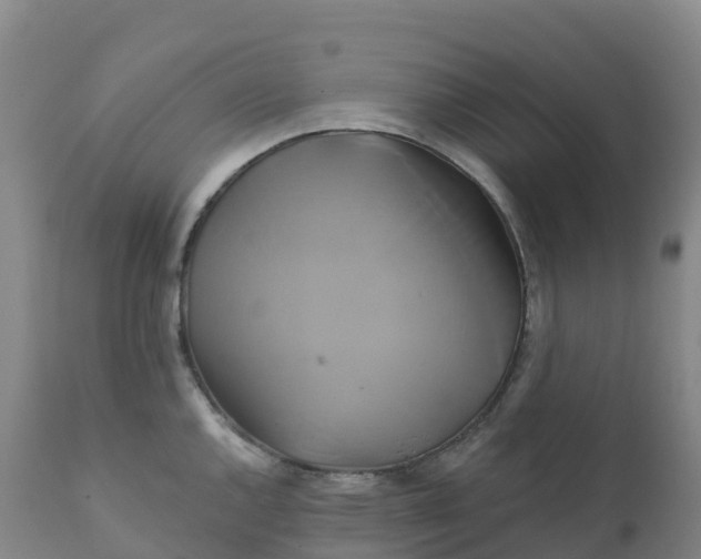 X0000111821144200908131517