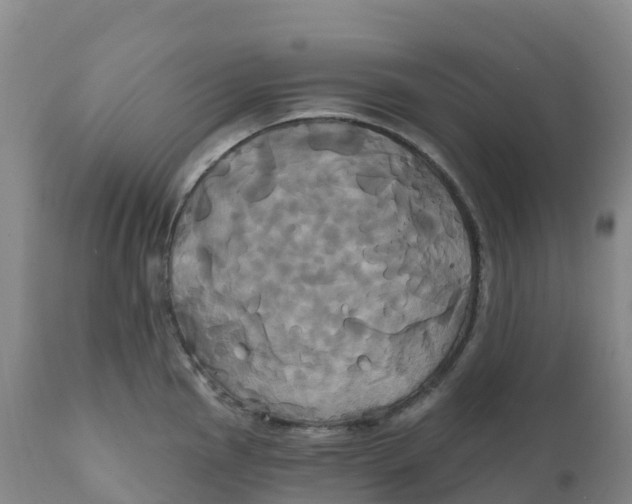 X0000111821145200908131517