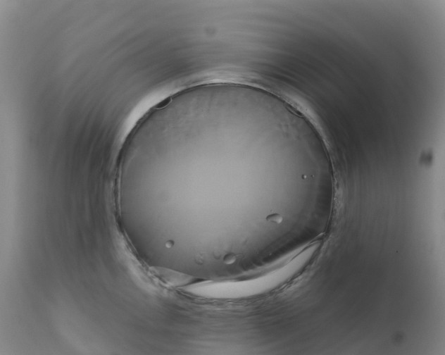 X0000111821146200908131517