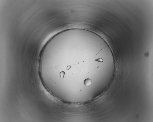 X0000111821147200908131517