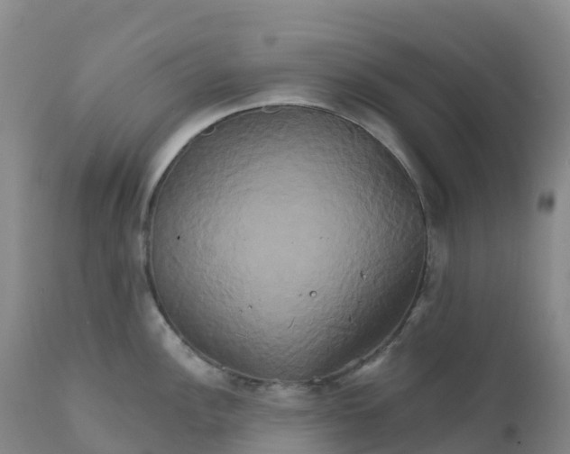 X0000111821148200908131517