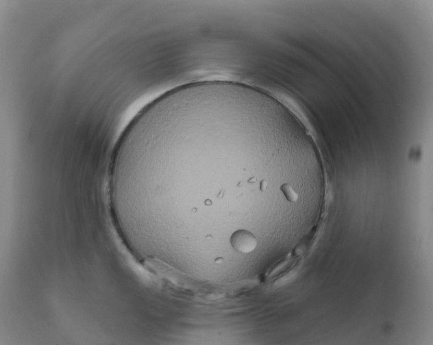 X0000111821149200908131517