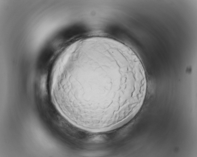 X0000111821150200908131517