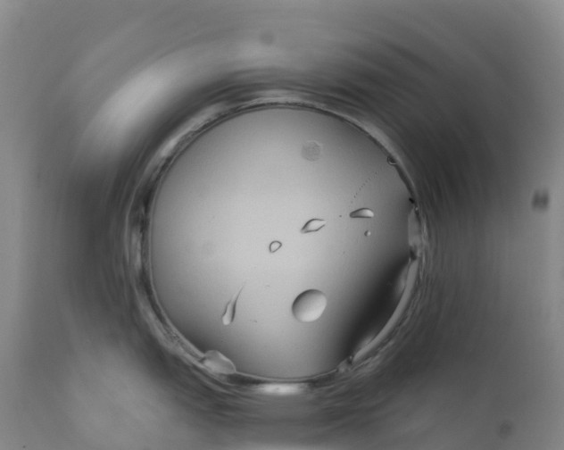 X0000111821151200908131517