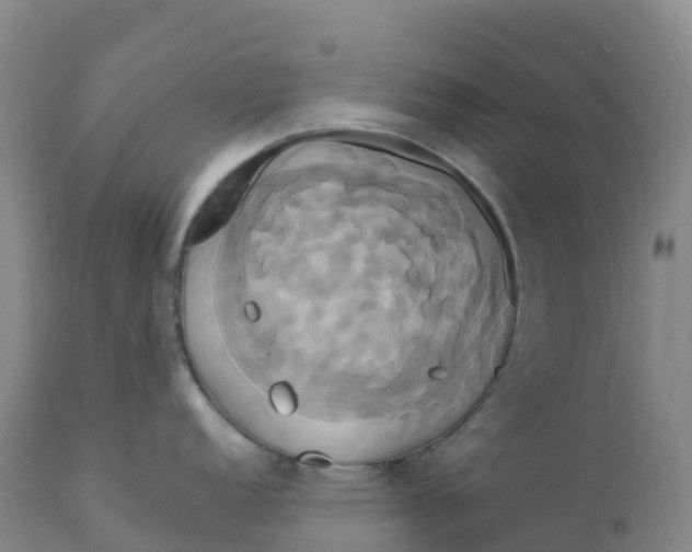 X0000111821152200908131517