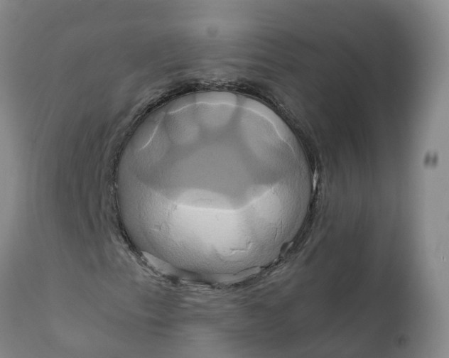 X0000111821153200908131516