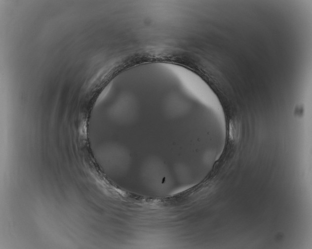 X0000111821155200908131516