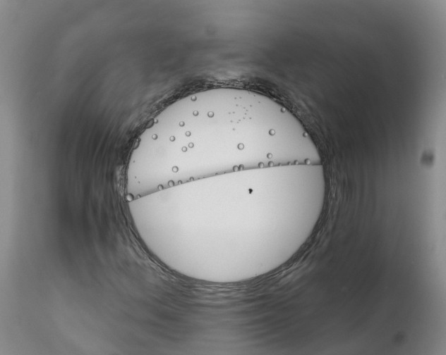 X0000111821156200908131516