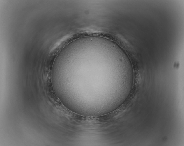 X0000111821157200908131516