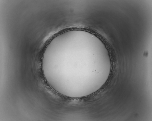 X0000111821160200908131516