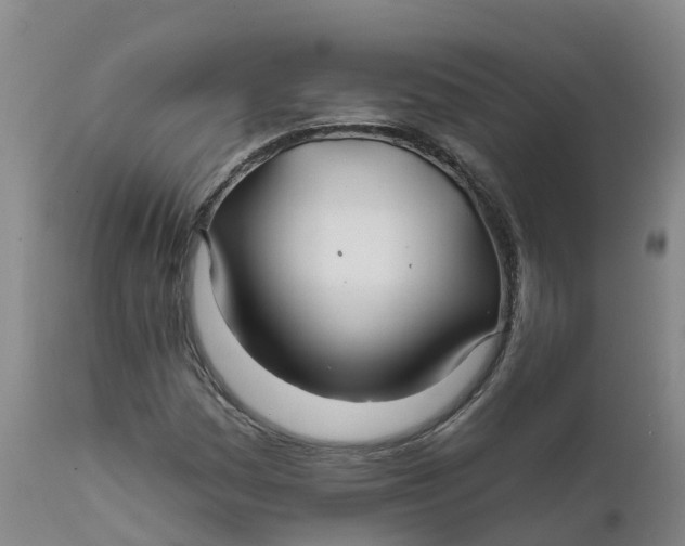 X0000111821161200908131516