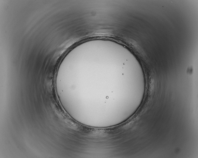 X0000111821162200908131516