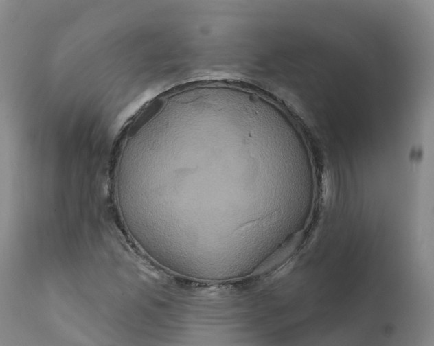 X0000111821165200908131516