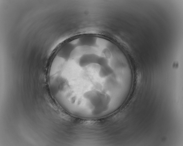 X0000111821166200908131516