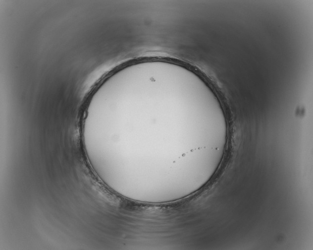 X0000111821167200908131516