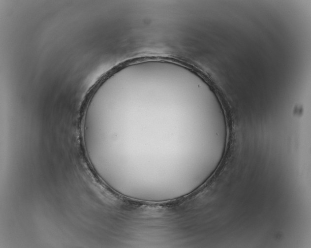 X0000111821168200908131516