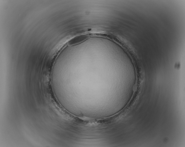 X0000111821169200908131516