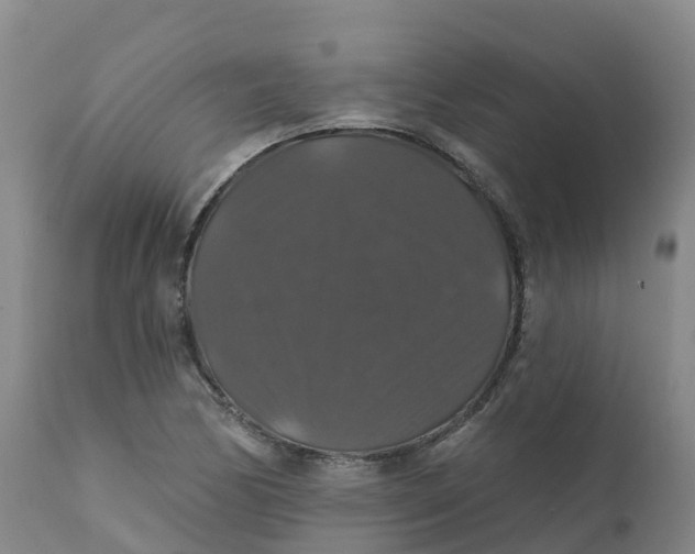 X0000111821170200908131516