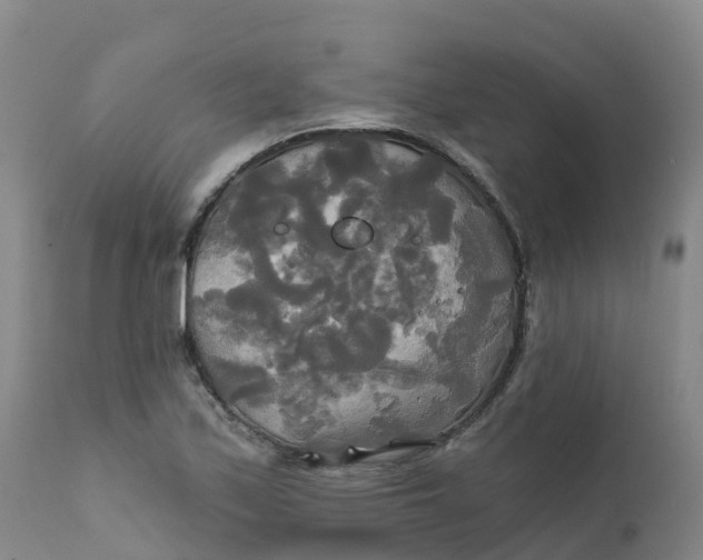 X0000111821171200908131516