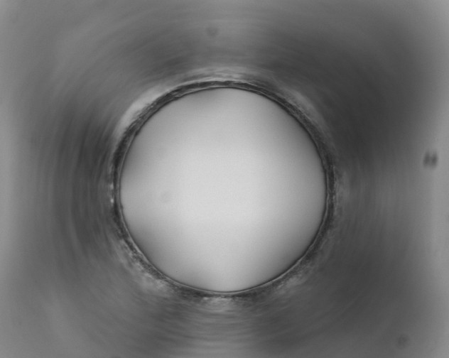 X0000111821172200908131516