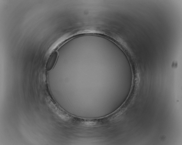 X0000111821173200908131516