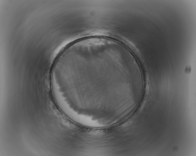 X0000111821174200908131516