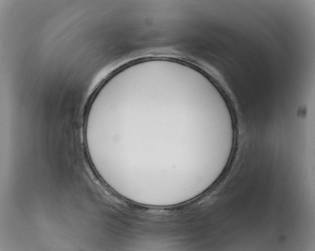 X0000111821176200908131516