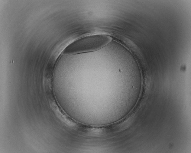 X0000111821177200908131516