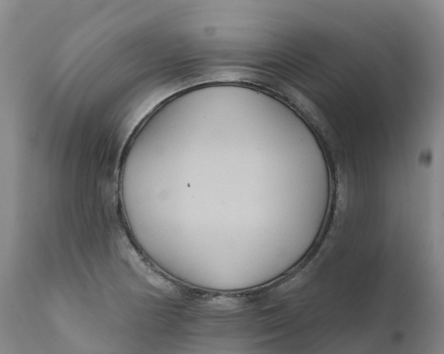 X0000111821178200908131516