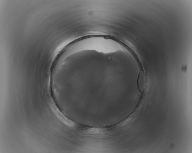 X0000111821179200908131516