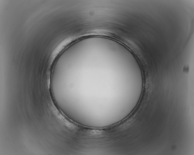 X0000111821180200908131516