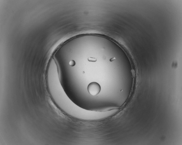 X0000111821181200908131516