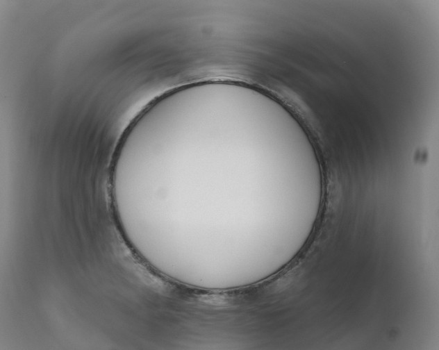 X0000111821182200908131516