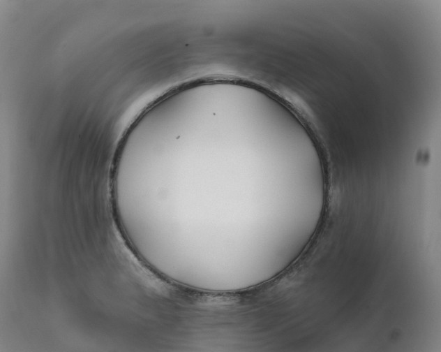 X0000111821183200908131516