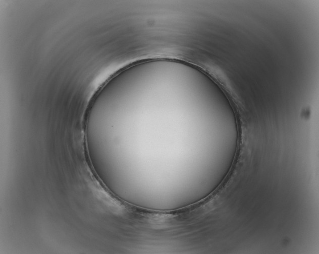 X0000111821184200908131516