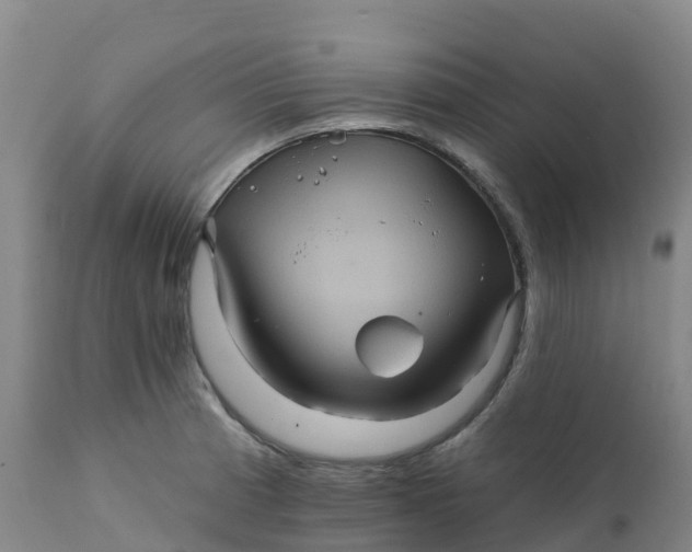 X0000111821185200908131516