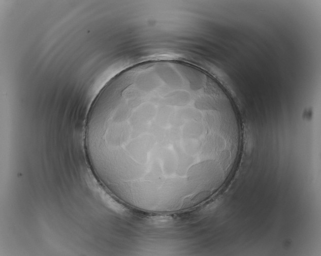 X0000111821186200908131516