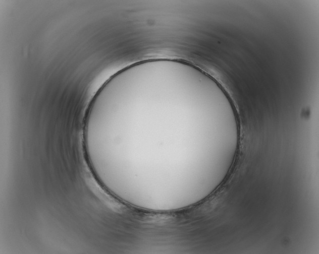 X0000111821187200908131516