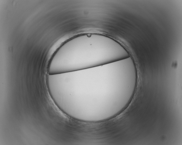 X0000111821188200908131516