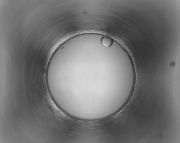 X0000111821189200908131516