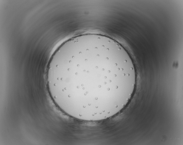 X0000111821190200908131516