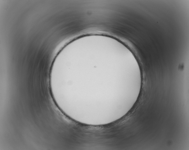 X0000111821191200908131516