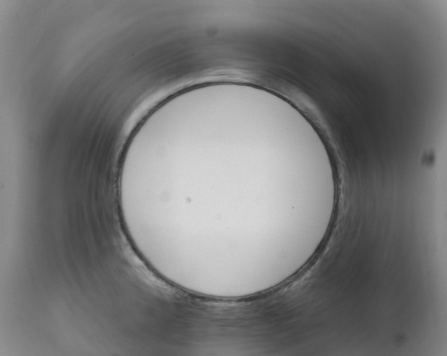 X0000111821192200908131516